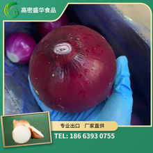 2022年红充氮洋葱 工厂直供 甘肃产地 备案种植基地产 出口东南亚