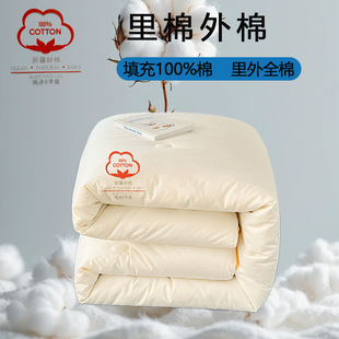 Xinjiang Double-Sided Cotton Quilt for Student Dormitory Winter Use, Suitable for Bunk Beds, Made of Pure Cotton