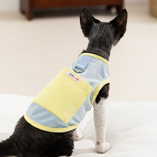 Cat Cool Clothes Spring and Summer Thin Breathable Rainbow Character Printing Traction Vest Blue Cat Kitten Puppy Pet Clothes