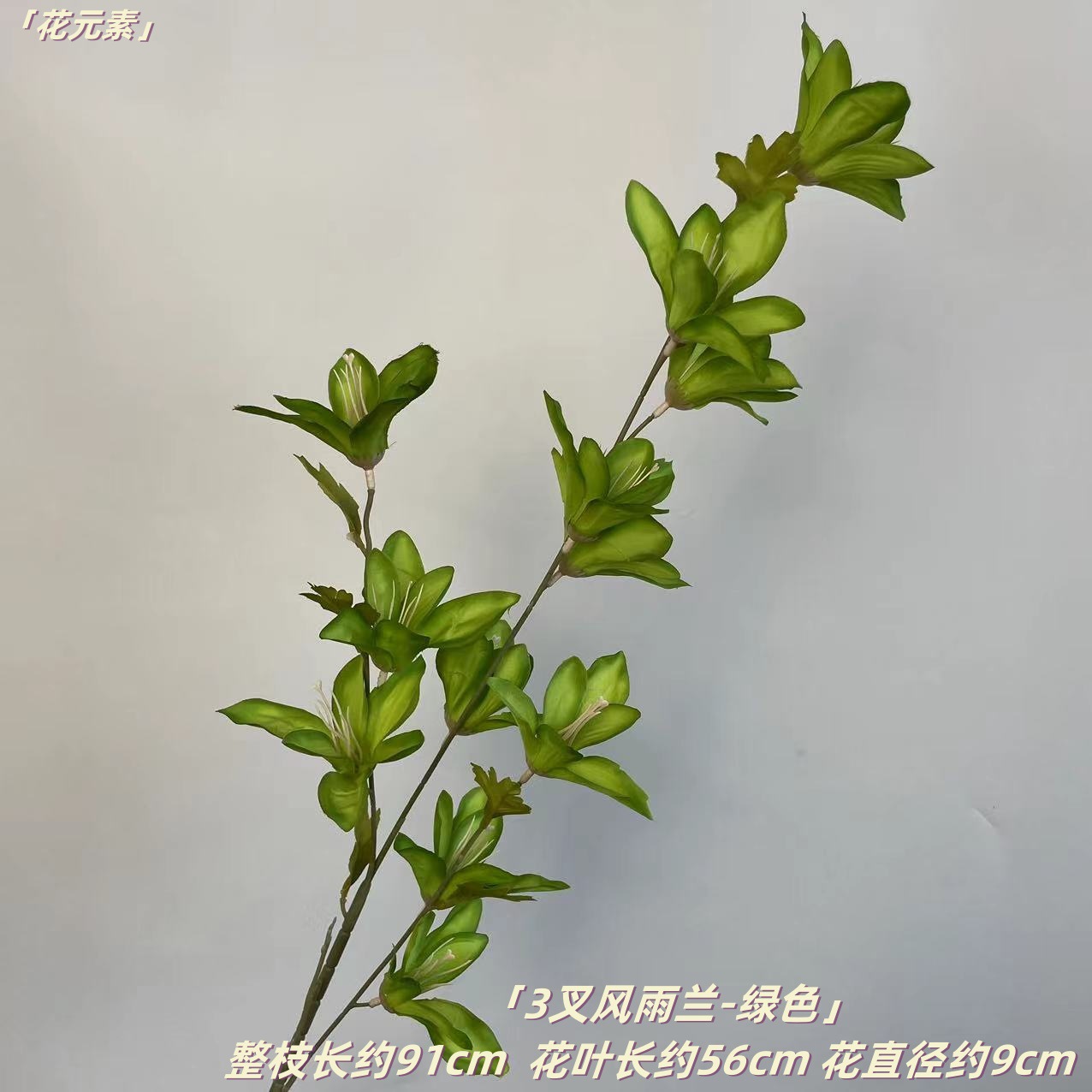 녹색