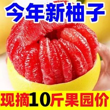 【精選】柚子紅心蜜柚平和紅肉蜜柚紅柚香甜蜜柚新鮮水果批發包郵