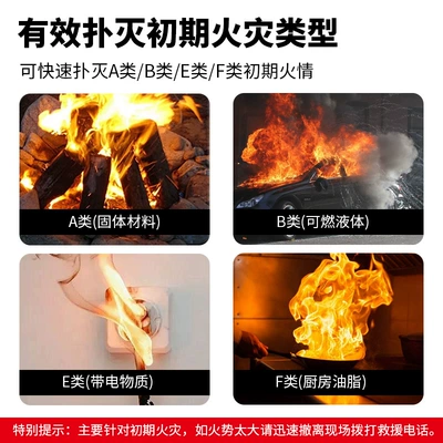 Resistant Anti-Freeze Foam Type Satchel – Vehicle fire extinguisher