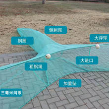 �~�W�O�W�~���W�ϾW�����W���W���־W���M�ڻ��ھW�w�C�W�r�\֮�M