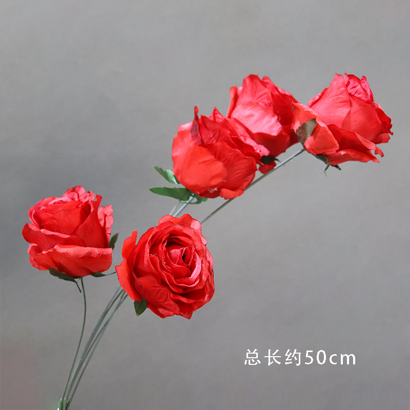 17호 5송이 장미