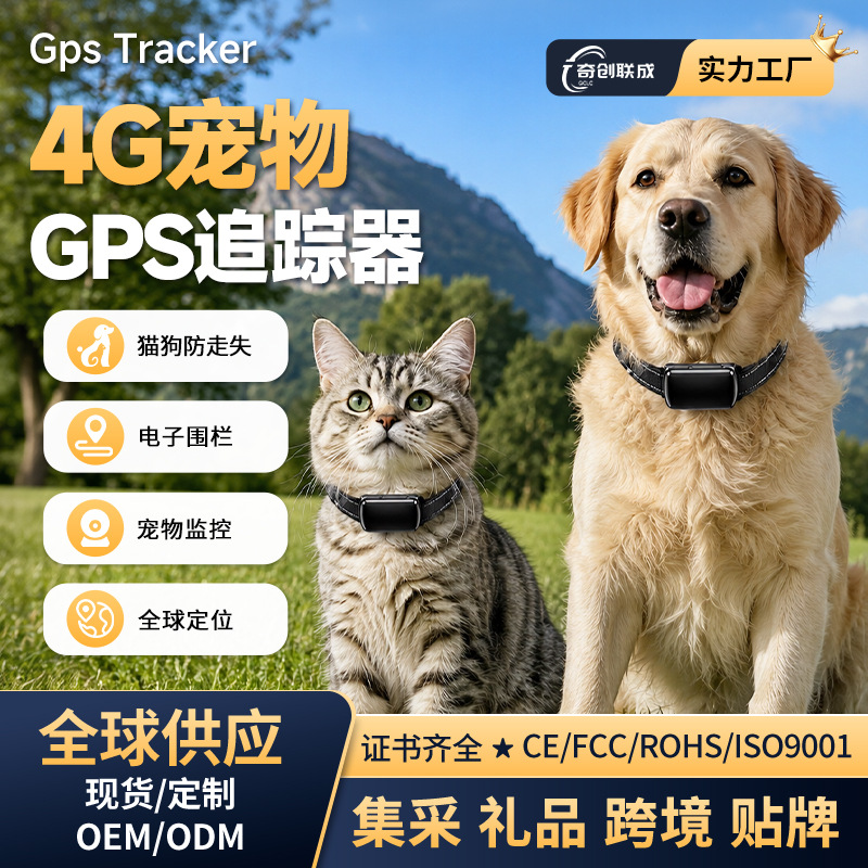 글로벌 버전 4G 애완동물 위치추적기 GPS 장시간 사용 GPS 위치추적기 강아지 고양이 목걸이 분실방지 추적기