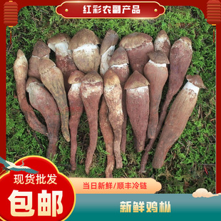 ������r�u���� ���_�����u����֦�� ʳ�ô���u�������l