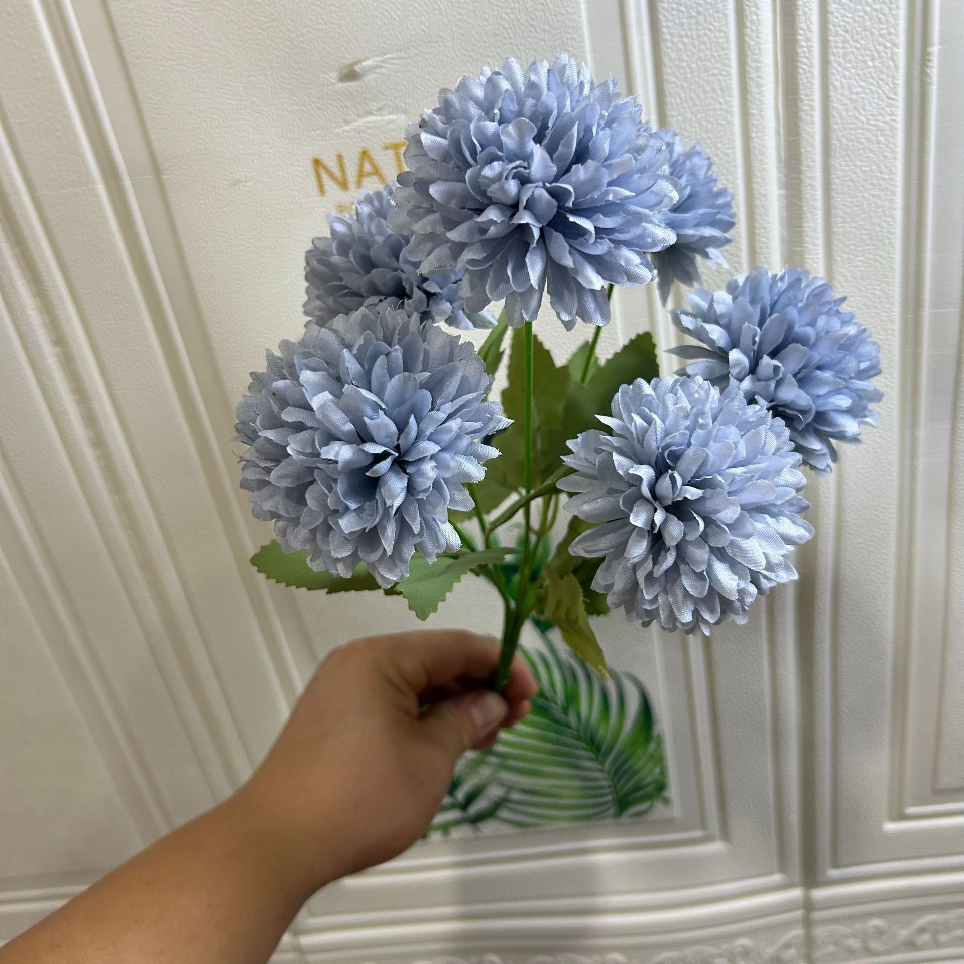 라이트 포그 블루