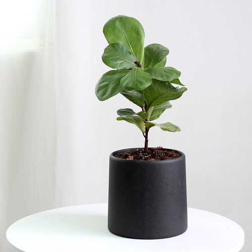 Simple Nordic style round cement flower pot concrete creative personality white living room large cylindrical pot set pot