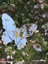 �����Π��R�� ��Ҏ�t�R���Ĕz���ߺ����R��yʽ����ins�L�[�ĵ���