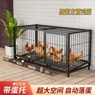 �u�\�Ӽ��������̖�҃��Bֳ�B�u�ጣ�û\�F�z�uȦ���Z�������ӻ\