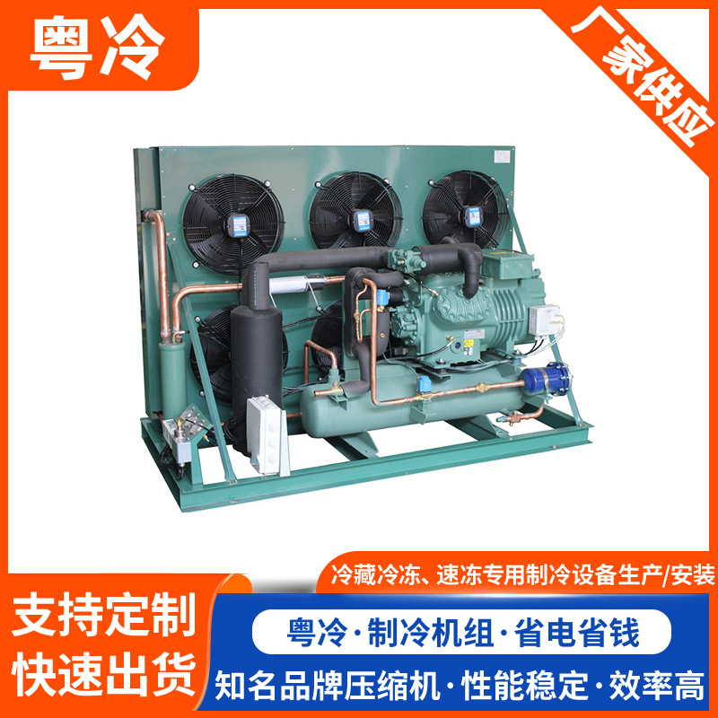 半封闭活塞压缩机制冷冷库制冷设备非标大型冻品批发市场制冷机组