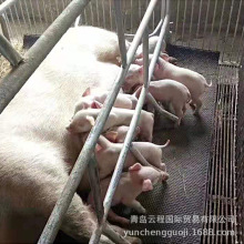 批发牛床垫马房地垫畜牧胶垫橡胶牛床垫马棚猪舍奶牛场用橡胶垫