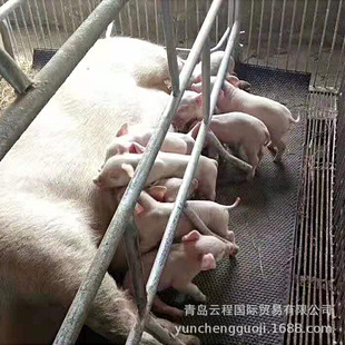 Horse shed non-slip mat pig house insulation cloth laminated rubber board thickened animal husbandry non-slip electric heating board nursing fence insulation mat