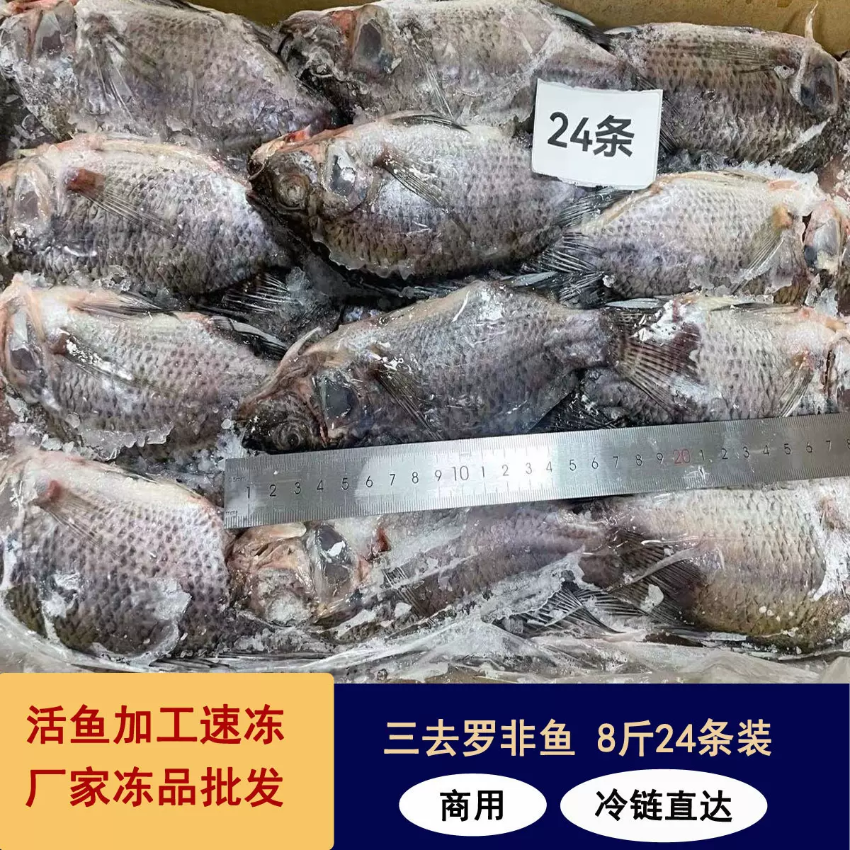 三去罗非鱼冷冻8斤24条装酒店烧烤餐饮商用水产冻品批发商用批发