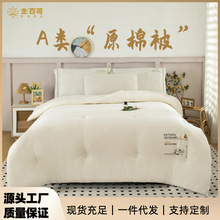 A类大豆纤维泰迪熊冬被芯柔软亲肤秋冬被加厚学生宿舍原棉被子