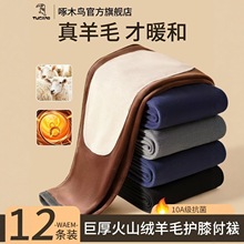 啄木鸟男士保暖裤加厚加绒德羊绒护膝打底秋裤棉毛裤绒裤男款冬季