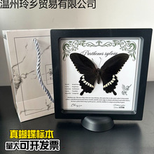 ������˱��Ҹ������Ҿ����w�b[�����տ��ս̌W��Ʒ