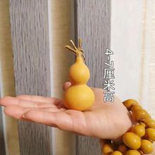 ��Ȼ���J����С̖�͏d�����k���Ҕ[�������ˌ�������������^
