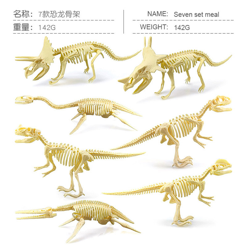 7 dinosaurio esqueleto 142g