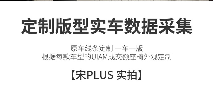 BYD Song plusdmi Cushion Four Seasons General 25 Song plus Glory Edition Special Seat Cover ev Cushion