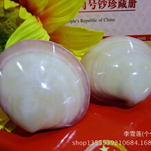 ֱ��4-6�����Ųʷ۸� ��Hؐ�� ����� ���к��Ҿ��b����l