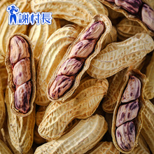 【一件代发】云南七彩花生大颗粒咸干香脆龙岩湿烤工艺不上火