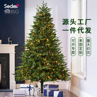 Factory Direct Sales Spot Pe Mixed Christmas Tree Encrypted Luminous Environmentally Friendly Flame Retardant Christmas Home Decoration Arrangement