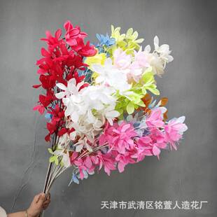 ��֦��������滨�Ĳ����b�c�Y�üٻ���·�廨�zӰ���컨