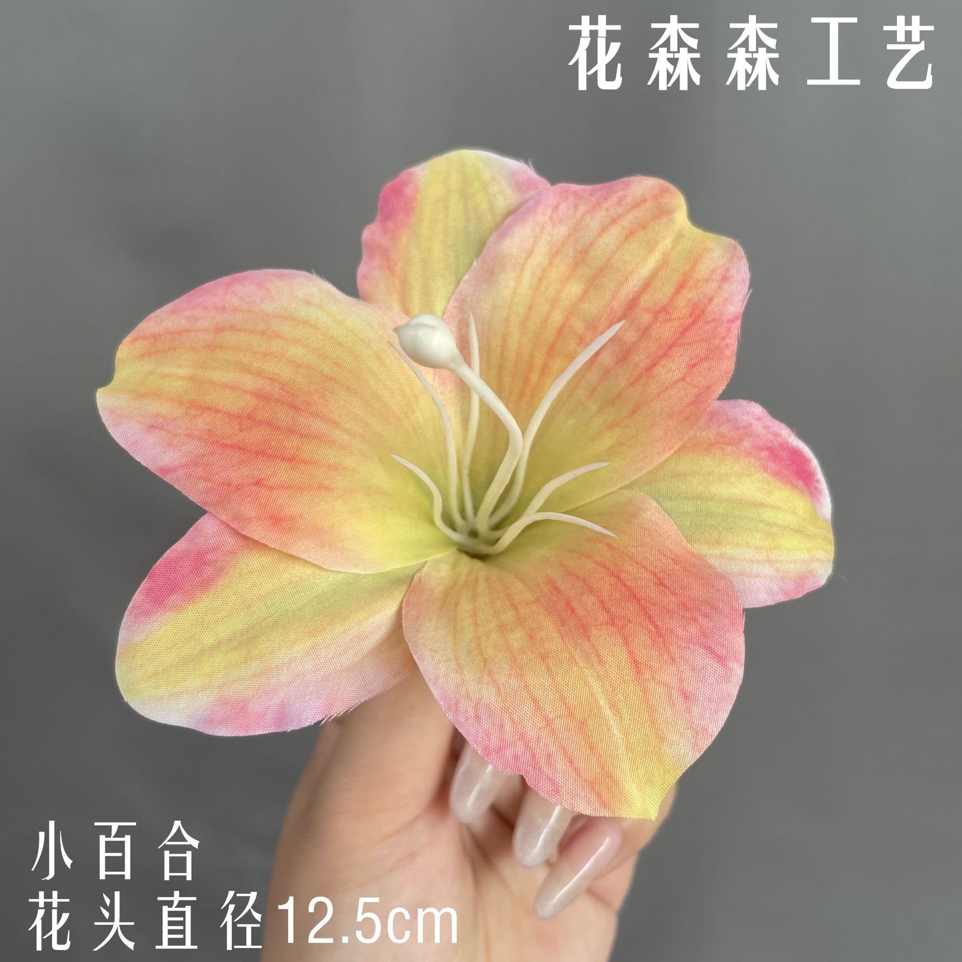 색상 번호 8