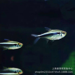 �Ꭷ�^�p�~С��Ⱥ�Ο��~�ھ����ڹ�ܺ�ɏ��ˮ�ݸ׻��w�����~�ڟ�