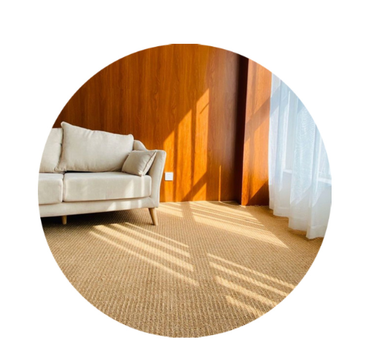 Imitation Sisal Anti-Cat Claw Carpet Home Tea Room Bedroom Tatami Car Side Blanket Pineapple Ring Tpe Bottom Pet Floor Mat
