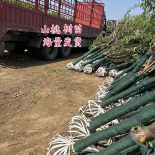 ɽ�Ҙ���ɽ�Ҙ��_�Ĺ�ɽ����ɽ�һ��؃r��ɽ�Үa��ɽ��6-8-10����