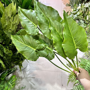 �����R���~ �Gֲ�bٻ����~�ָ��~������ֲ�� �Gֲ���~��