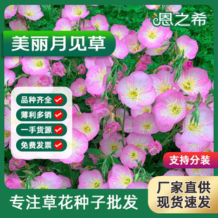 ҊݷNҹ㻨Ѷ޸ͥԺG׷Nļ_