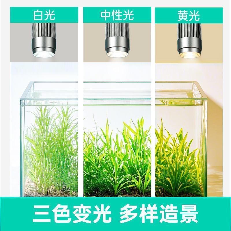 2025新款鱼缸灯水草灯小型鱼缸专用照明灯原生溪流缸南美射灯夹灯|undefined