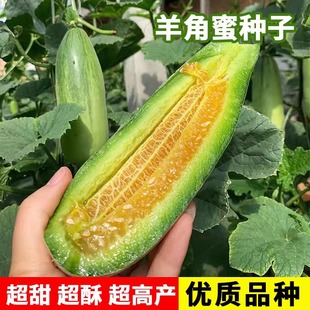 �����������ϷN�ӱ�Ƥ����������ļ��N��ͥԺ�̨����ˮ���N��