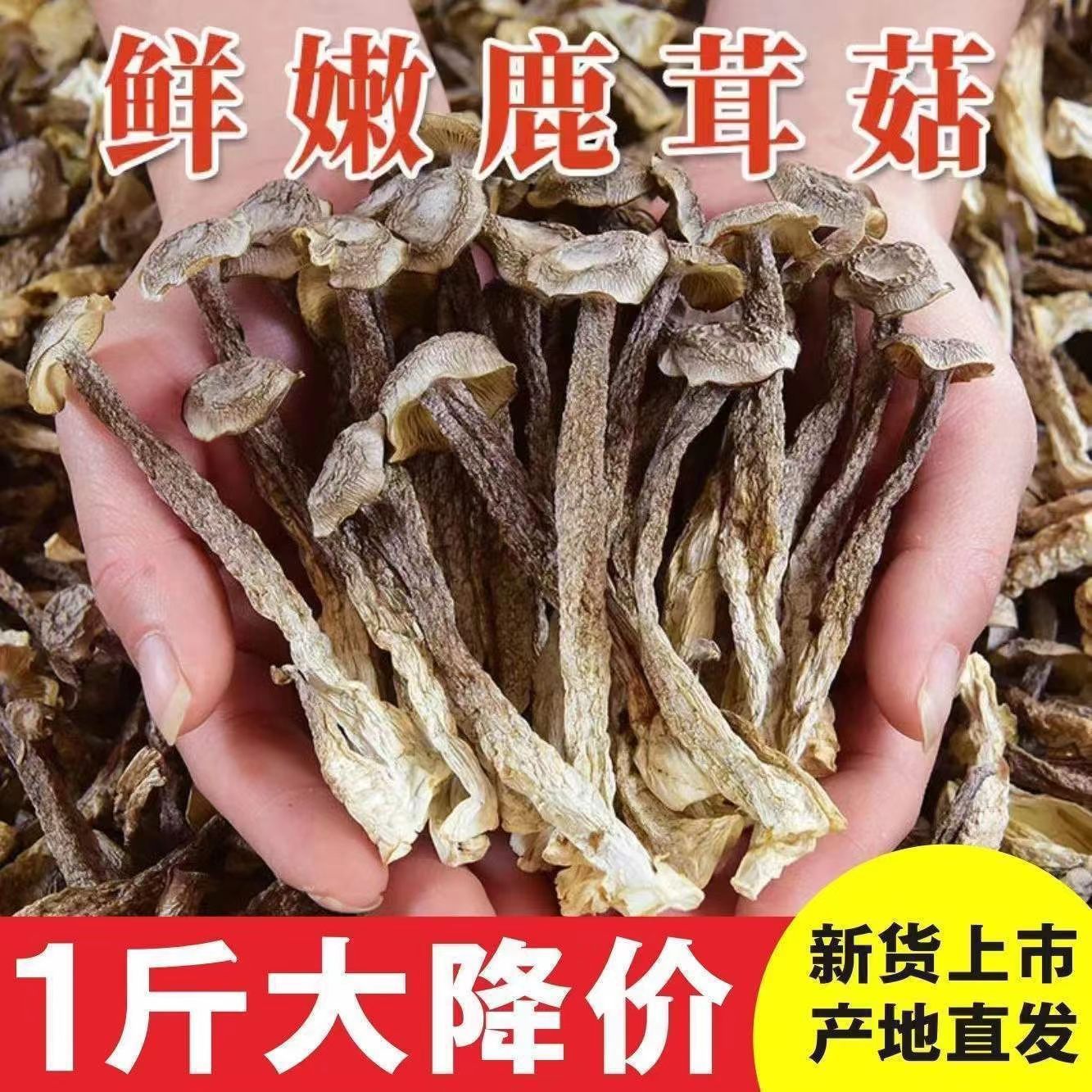 鹿茸菇干货500g包邮鹿茸菌非特级鹿茸菇云南特产脆脆菇煲汤材香菇