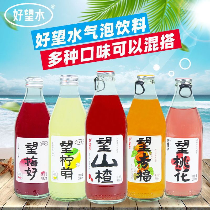 Haowangshuiwang サンザシ炭酸水ドリンク 300 ミリリットル/ボトル Meihaoshengfu 解決インターネット有名人ソーダ工場卸売|undefined