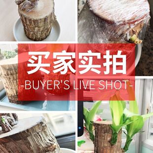 ����ľ������ˮ�B���\ľˮ�໨���҃��̨�k�����ļ��������ԾGֲ