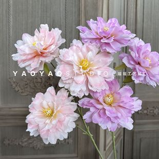 3�^ܽ��ĵ���� ���Ļ���ɫϵ���滨��c���滨��Y�þƵ�ܛ�b�廨