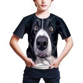 2026跨境爆款儿童边境牧羊犬3D印花t恤夏季男童狗狗脸休闲短袖