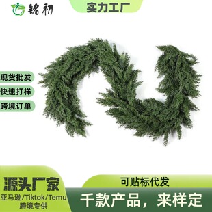 �羳���R�d���������  �}�Q�f�}���Ҿ��T���b����}�Q�ɰ��ٗl