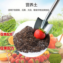 �ЙC�͠I�B���@�־G������p�|�Nֲ���߲�ˮ���Nֲ���|�ʠI�B��