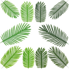 跨境仿真葉片人造散尾葵 北歐氣球裝飾婚禮婚慶布景葵葉