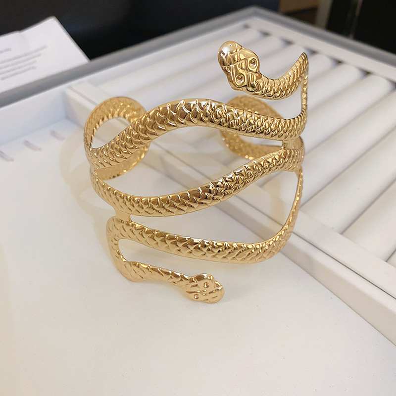 Brazalete de serpiente de doble cabeza envolvente de viento frío de metal europeo y americano, pulsera de todo fósforo de personalidad de alta gama, brazalete de lujo ligero transfronterizo femenino