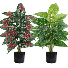 �羳��������Gֲ�l�y�~�͏d�Ҿ�����辰�t�l�y���˽�ֲ���b�