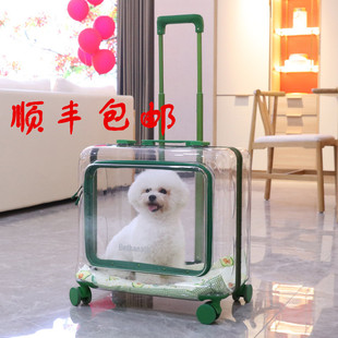 ����S���]��؈��������U�乷��̫��œ���ﱳ��������؈��������