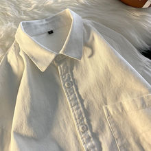 高级感白衬衫长袖男秋冬季全棉磨毛西装内搭打底衫休闲衬衣搭配马