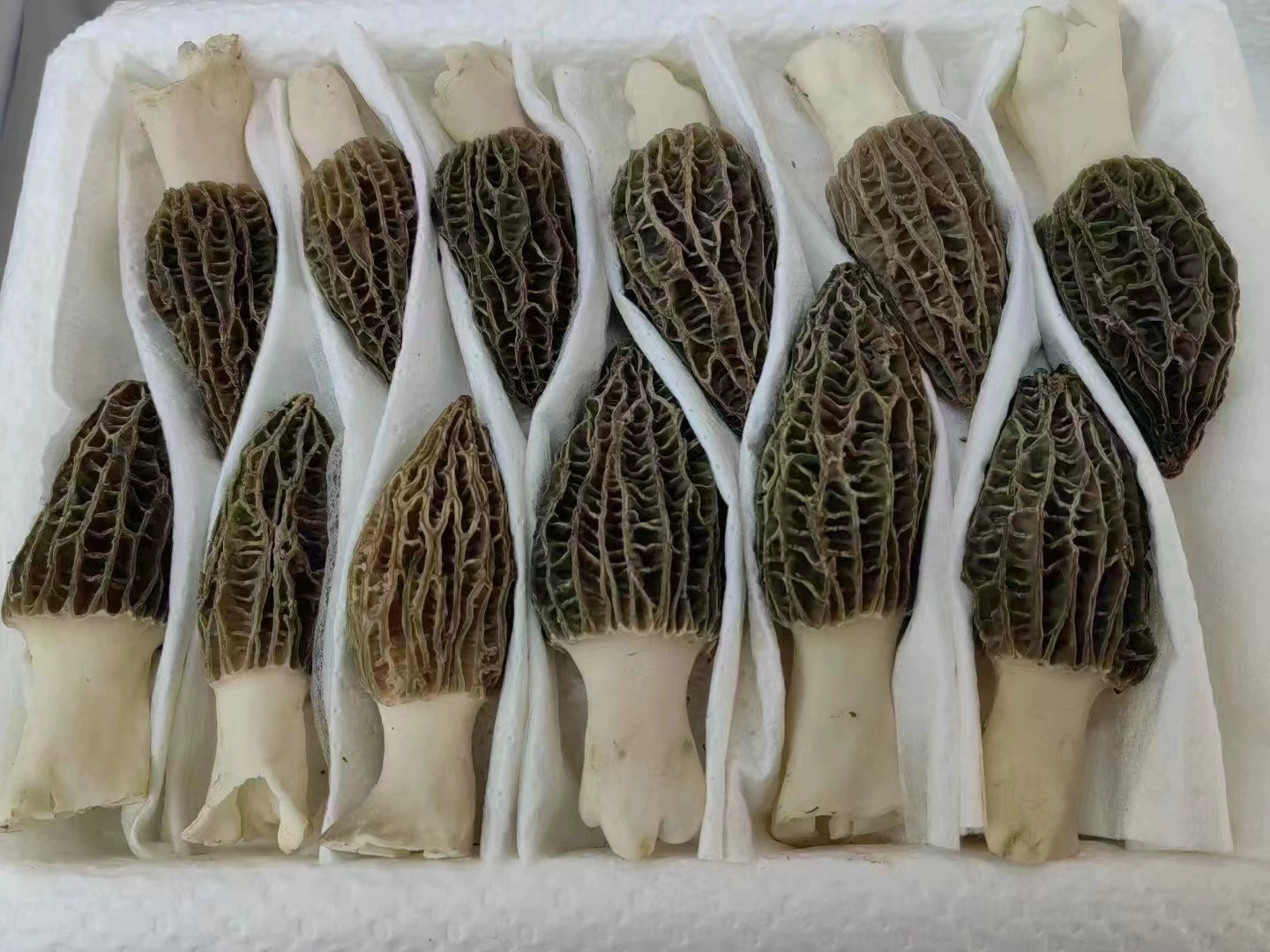 Мацутакэ впитывающая бумага свежий сморчок гриб шиитаке гриб гриб гриб гигроскопическая бумага 5 слоев утолщенные экспресс-доставка влагопоглощающая бумага