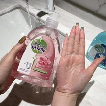 小蘇打抑菌洗手液 氨基酸泡沫家用洗手液 消毒兒童洗手露廠家批發